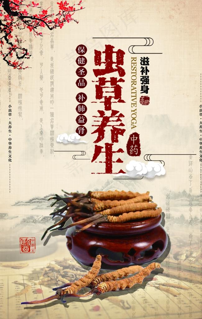 虫草养生海报图片(3534X5315(DPI:300))psd模版下载