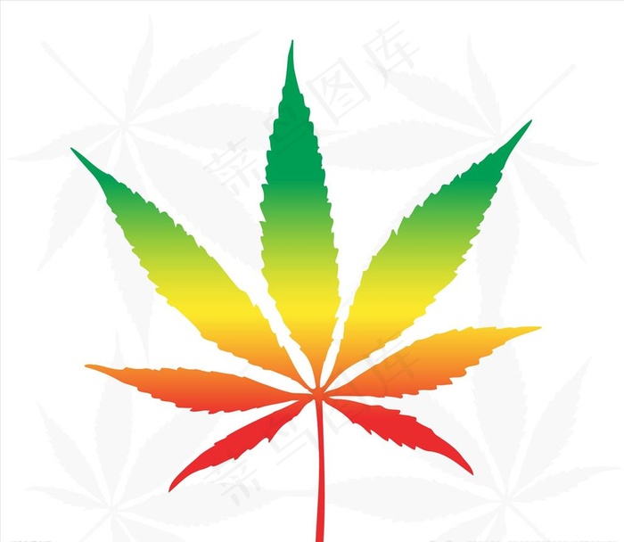 七彩叶大麻叶子图片ai矢量模版下载