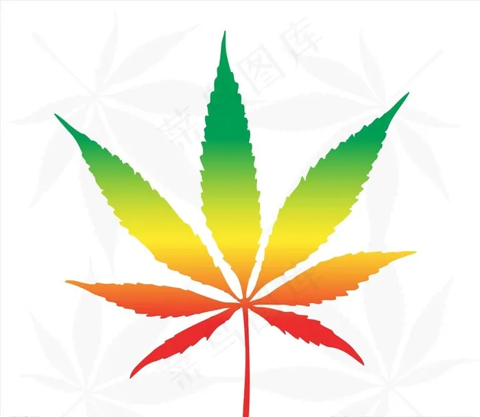 七彩叶大麻叶子图片ai矢量模版下载