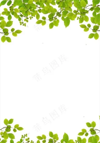 绿叶树叶图片