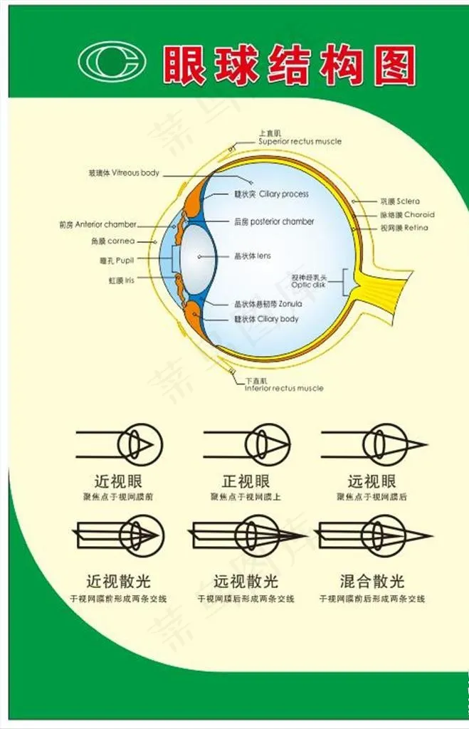 眼球结构图图片cdr矢量模版下载