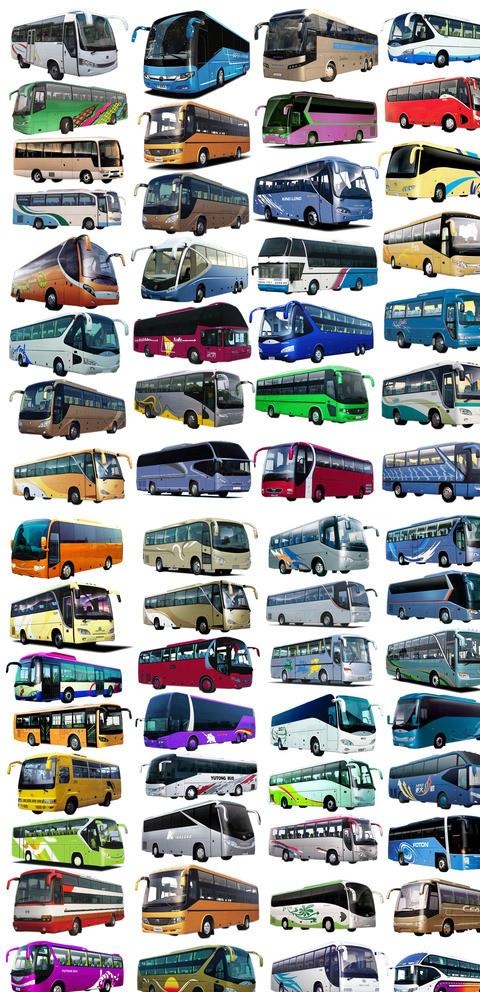 客车大集合图片