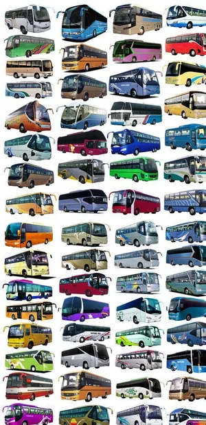 客车大集合图片