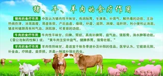 猪牛羊肉的食疗作用图片