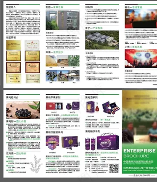 公司宣传折页图片