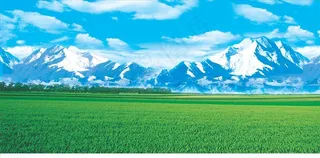 草原雪山图片