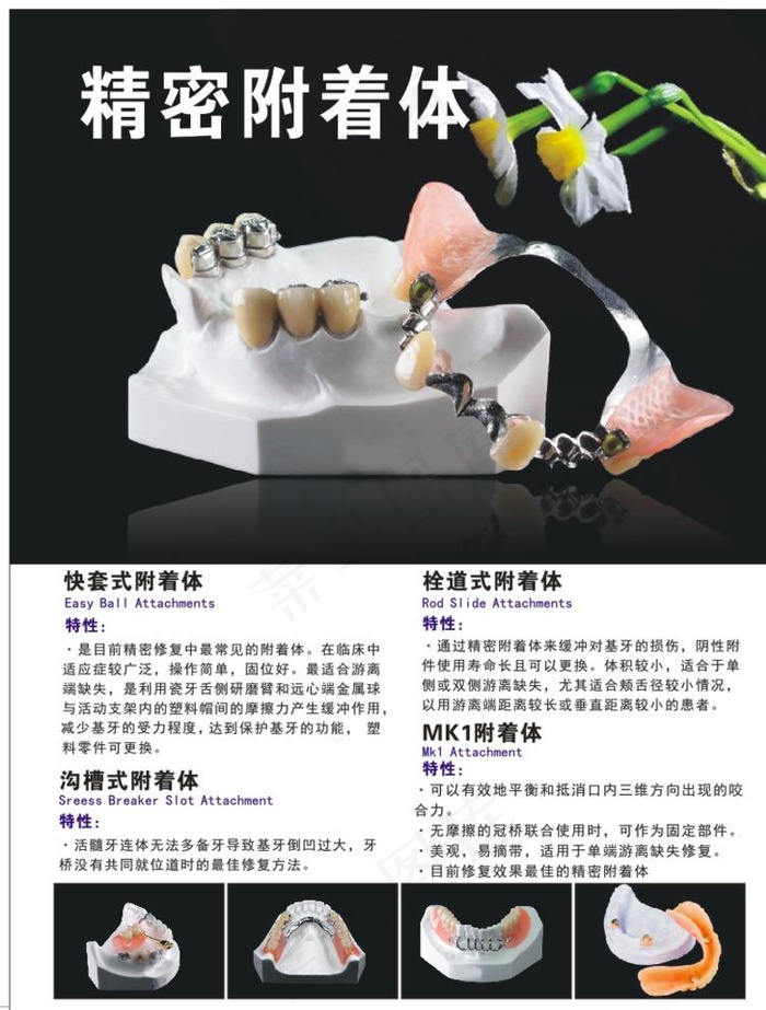 粗密附着体图片cdr矢量模版下载