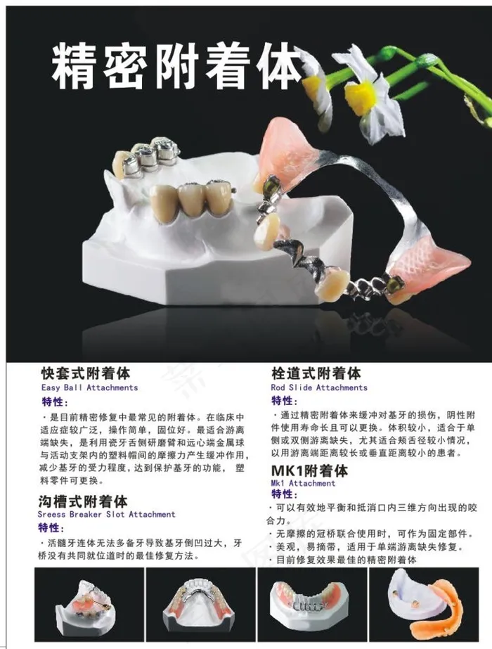 粗密附着体图片cdr矢量模版下载