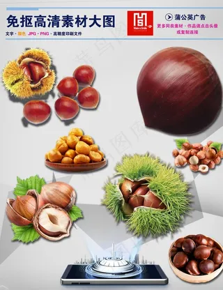 板栗免抠素材图片