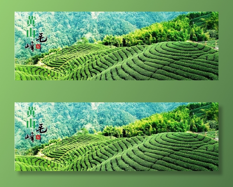 黄山毛峰图片(7480X2756(DPI:50))psd模版下载