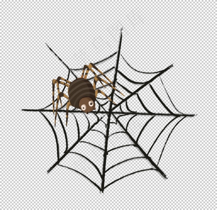 蜘蛛网图片