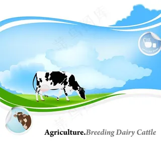 奶牛牧场卡通海报矢量图片