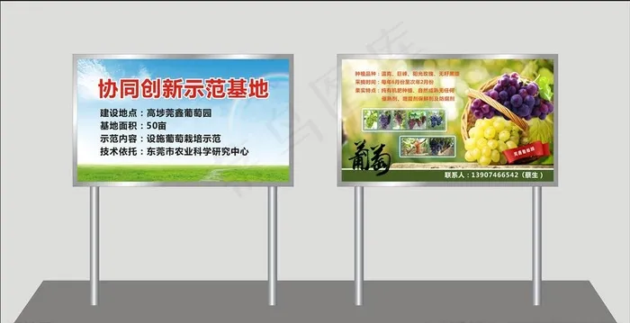 葡萄园  协同创新示范基地牌图片
