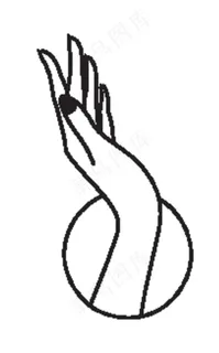 手图片