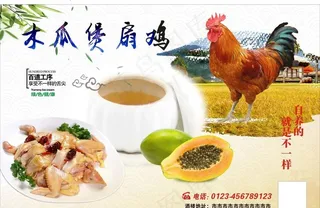 木瓜煲扇鸡图片