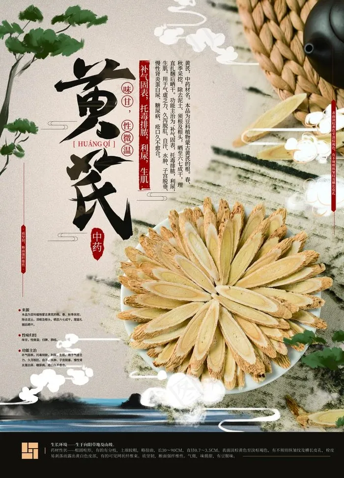 黄芪图片(4252X5669(DPI:180))psd模版下载