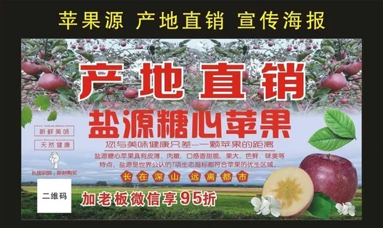 盐源糖心苹果 宣传海报图片