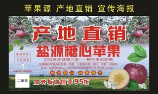 盐源糖心苹果 宣传海报图片