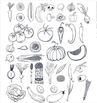 蔬果手绘线条图片