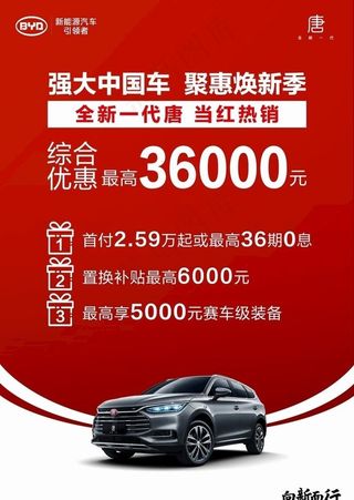 比亚迪全新一代唐燃油画板立牌图片