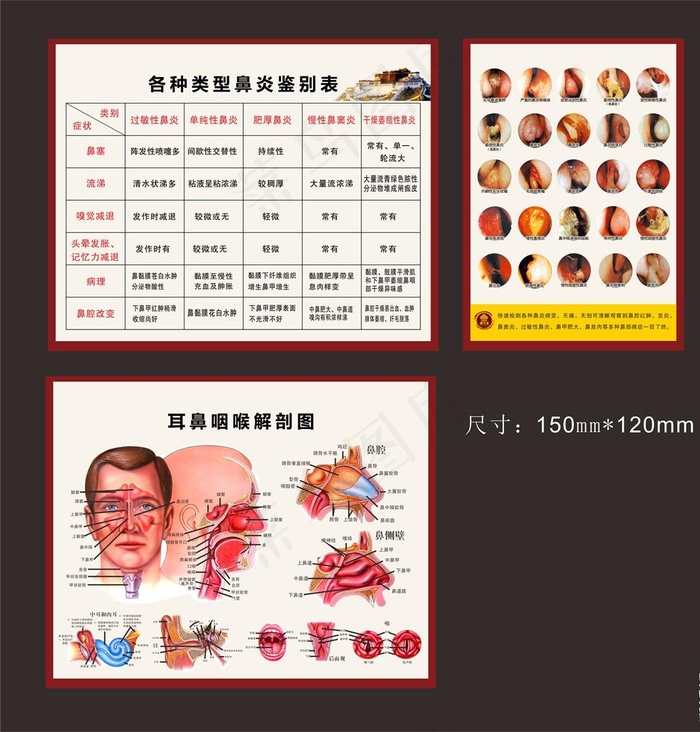 鼻炎系列展板图片(500X900)cdr矢量模版下载