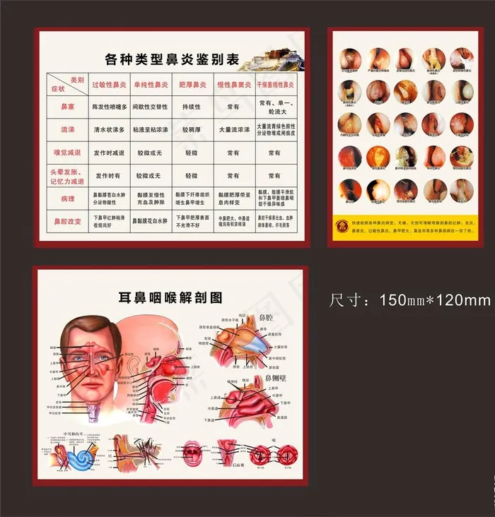 鼻炎系列展板图片