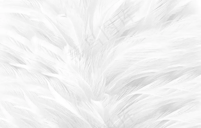 羽毛背景墙壁画现代简约白色北欧图片