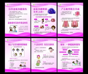 盆底康复中心海报图片