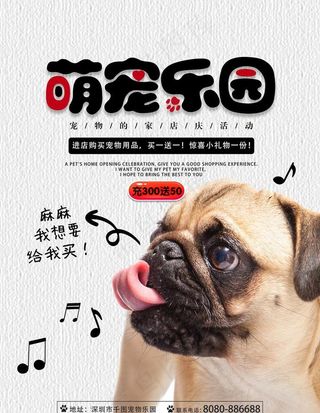 宠物海报图片