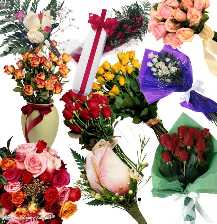 玫瑰花集合图片