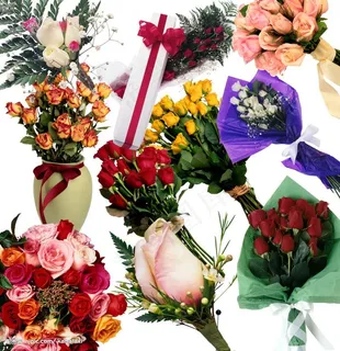 玫瑰花集合图片 玫瑰花集合图片