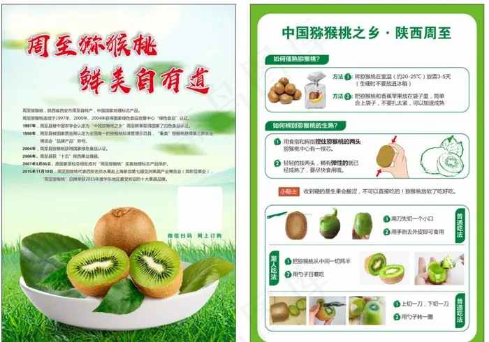 猕猴桃宣传单图片cdr矢量模版下载