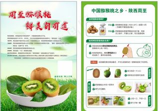 猕猴桃宣传单图片