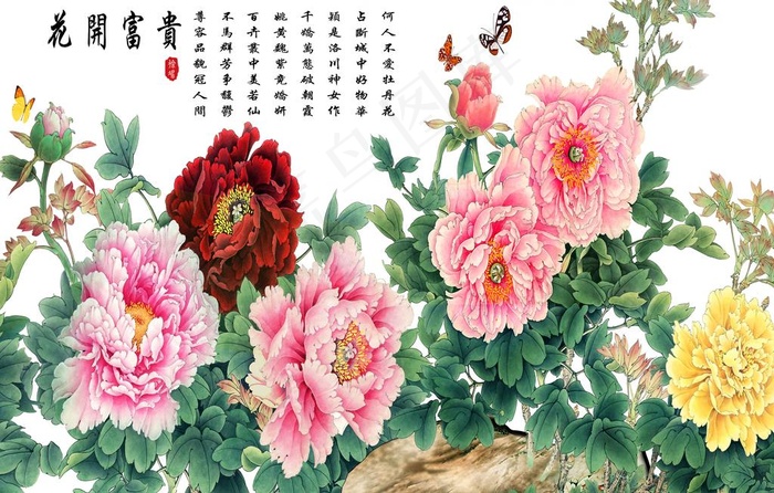 花开富贵图片