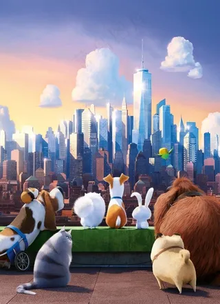 爱宠大机密图片