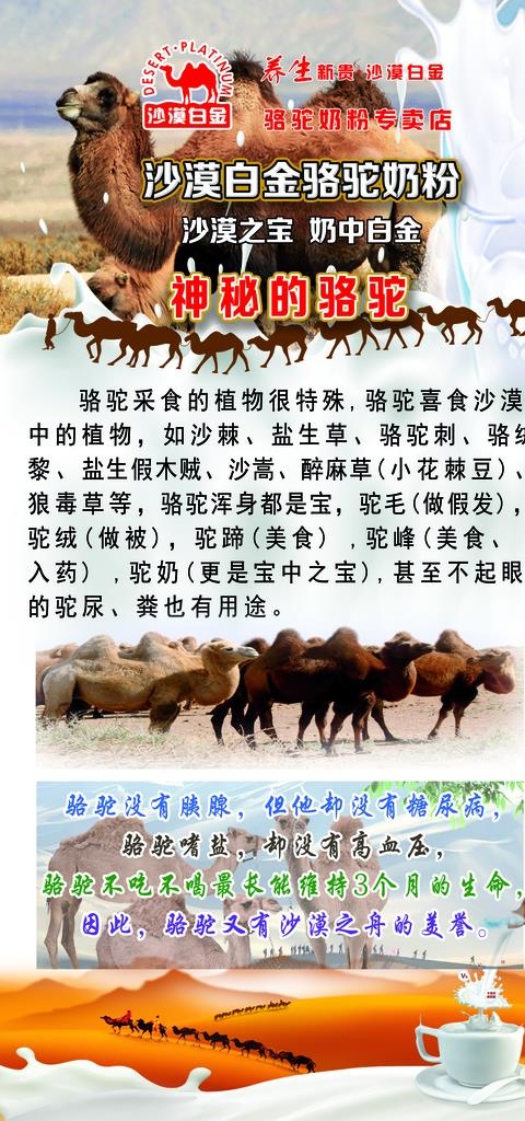 沙漠白金骆驼奶图片