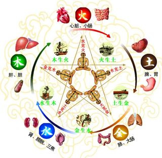 五行养生五脏延年益寿图图片