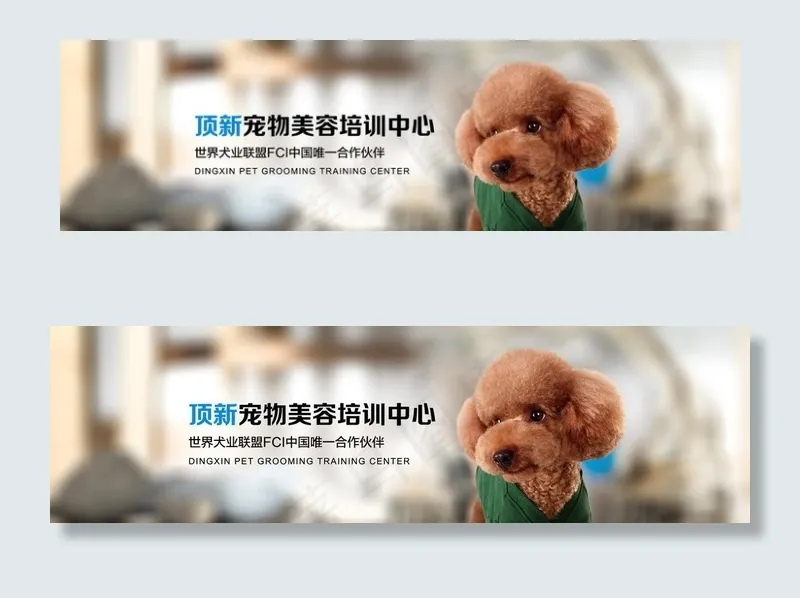 宠物banner图片psd模版下载