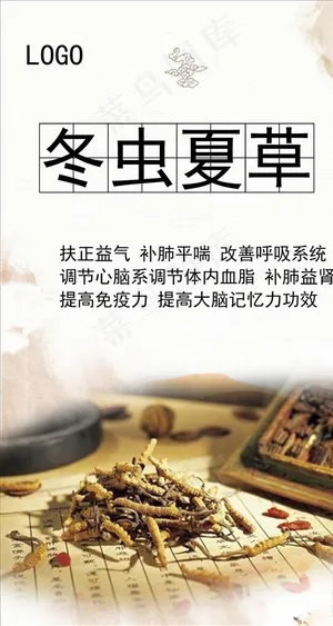 冬虫夏草图片