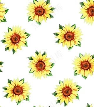 数码印花 大牌花 高清 太阳花图片