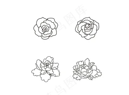 玫瑰花牡丹花图片