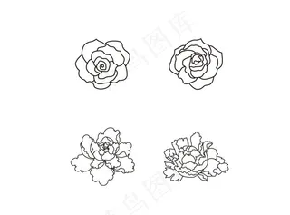 玫瑰花牡丹花图片