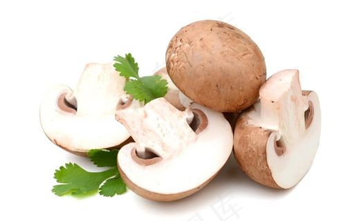 香菇图片