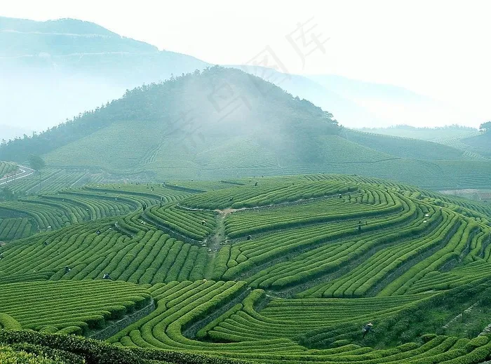 福泉山图片
