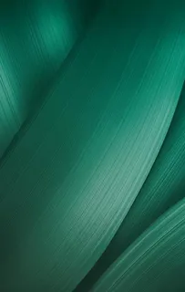 绿色粽叶端午节质感纹理背景图片