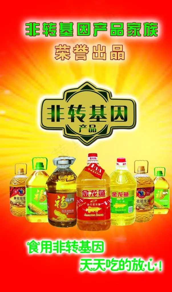 非转基因油图片