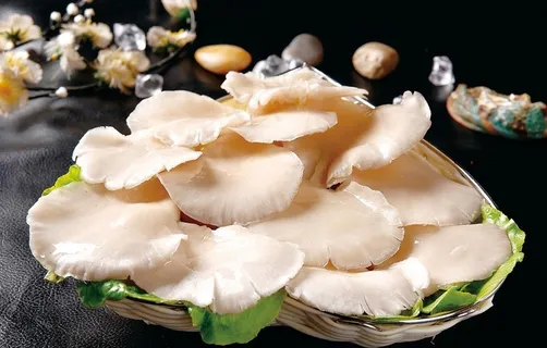 平菇图片 平菇图片
