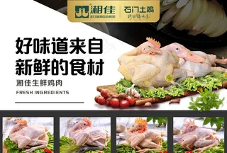 生鲜鸡图片