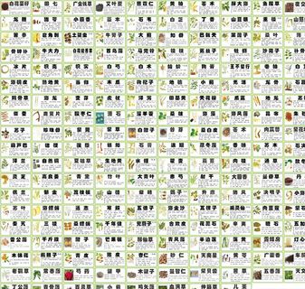 中草药标签 简介图片