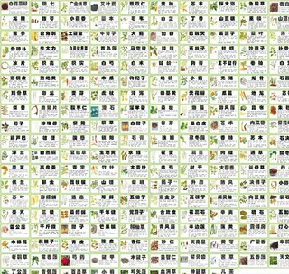 中草药标签 简介图片